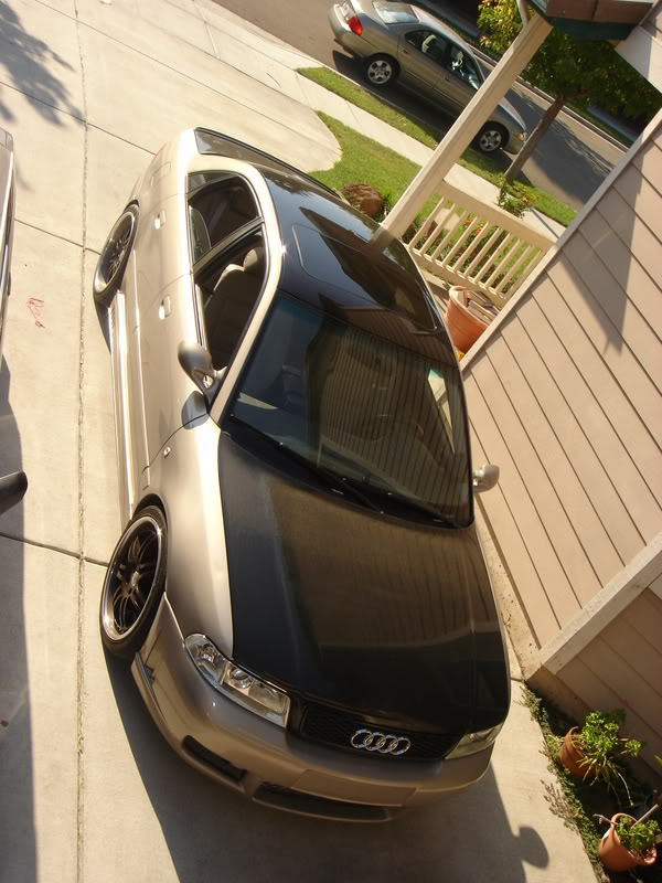 Name:  blackroof027.jpg
Views: 878
Size:  95.7 KB