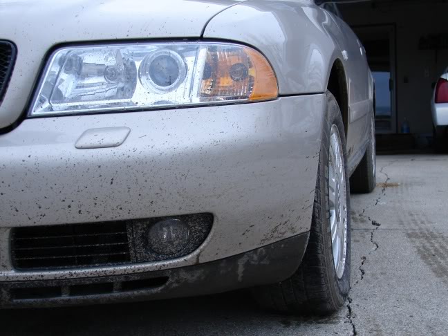 Name:  DSC01106.jpg
Views: 127
Size:  60.1 KB