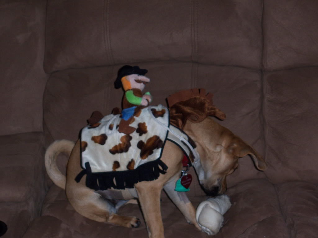 Name:  newcam3020.jpg
Views: 53
Size:  82.2 KB