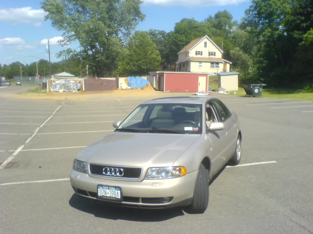 Name:  DSC00265.jpg
Views: 57
Size:  50.1 KB