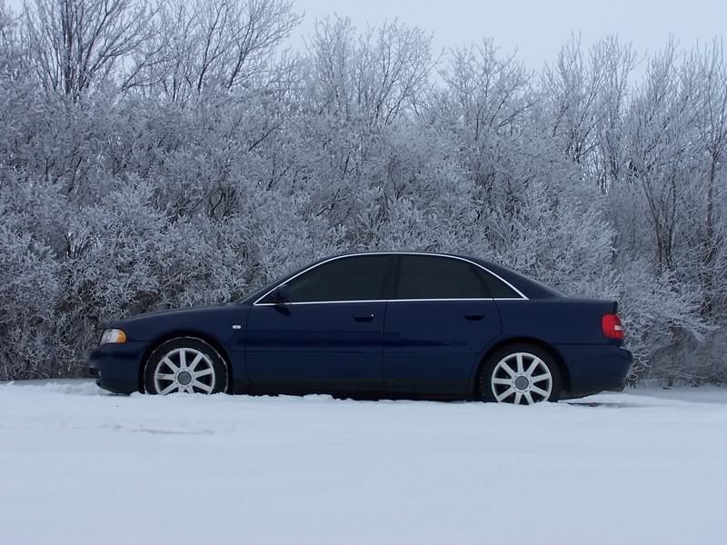 Name: 100_0807.jpg
Views: 300
Size: 117.2 KB