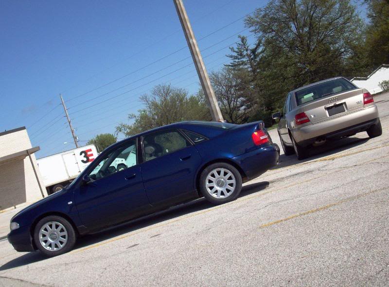 Name:  100_0778-1.jpg
Views: 145
Size:  94.9 KB