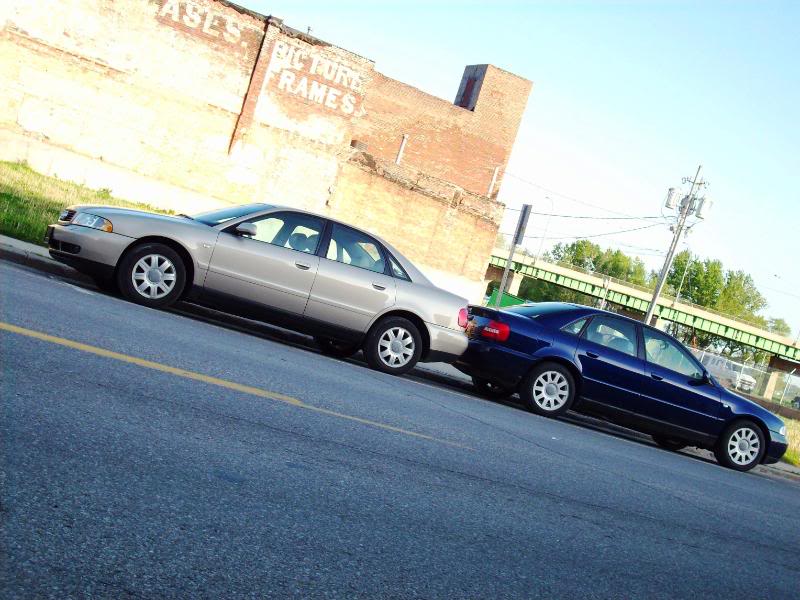 Name:  100_0795-1.jpg
Views: 139
Size:  93.6 KB