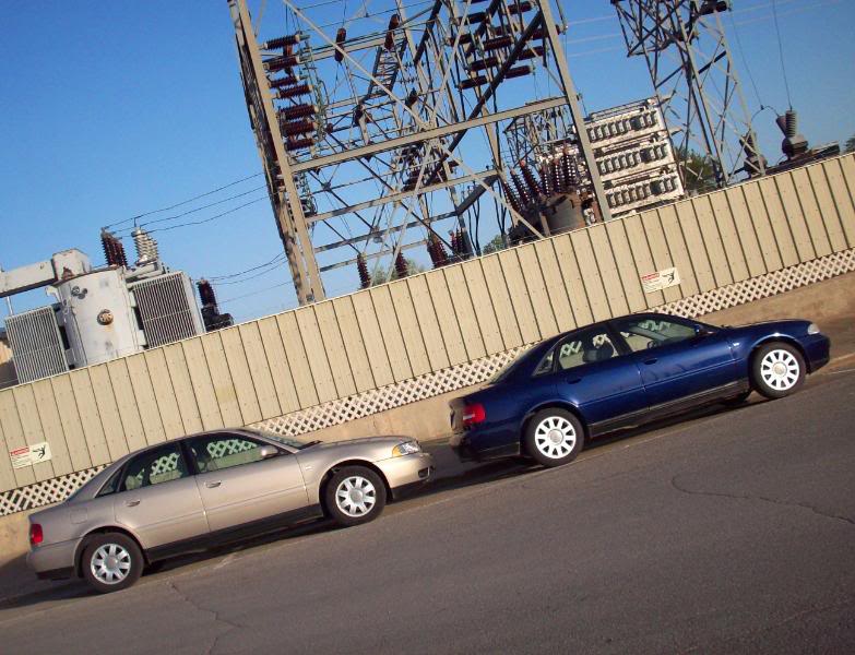 Name:  100_0799-1.jpg
Views: 132
Size:  103.5 KB