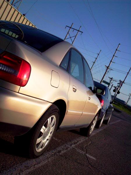 Name:  100_0803-1.jpg
Views: 145
Size:  49.8 KB