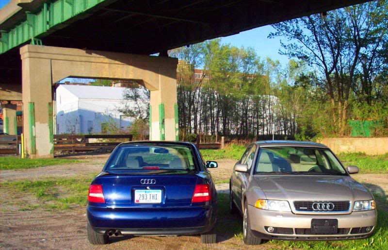 Name:  100_0811-1.jpg
Views: 163
Size:  104.5 KB