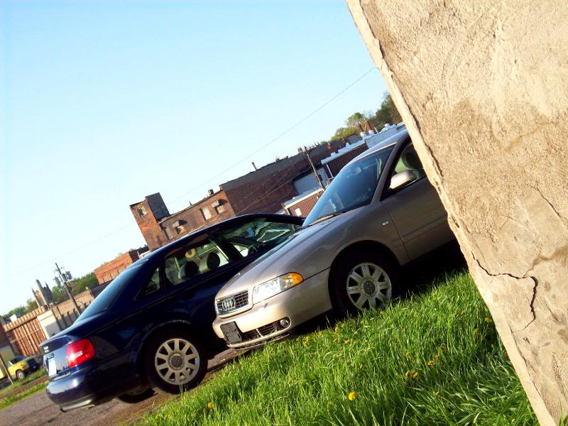 Name:  100_0815-1.jpg
Views: 141
Size:  99.7 KB