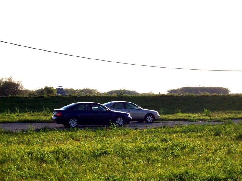 Name:  100_0820-1.jpg
Views: 93
Size:  86.0 KB