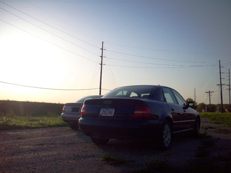 Name:  100_0821-1.jpg
Views: 109
Size:  50.7 KB