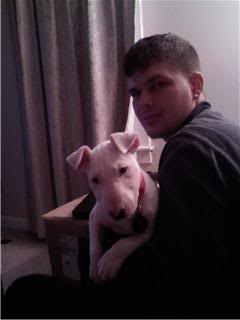 Name:  Chico.jpg
Views: 43
Size:  8.2 KB