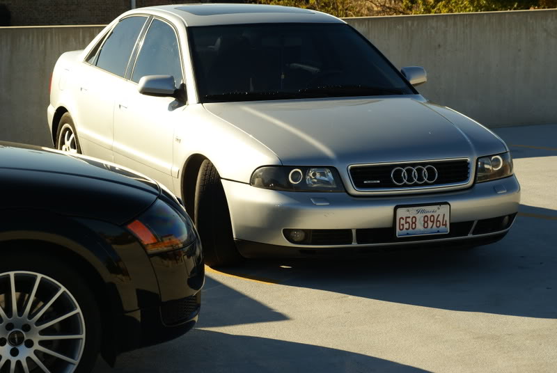 Name:  DSC05251.jpg
Views: 37
Size:  62.9 KB