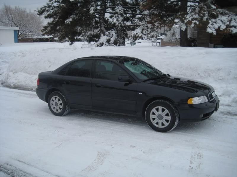 Name:  audihiver003.jpg
Views: 551
Size:  76.8 KB