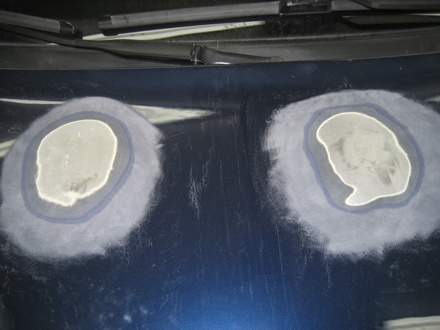 Name:  IMG_0803.jpg
Views: 15
Size:  46.6 KB