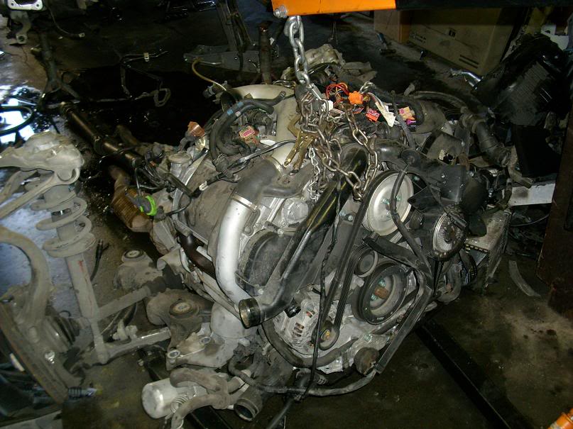 Name: DSCI0031.jpg
Views: 545
Size: 90.1 KB