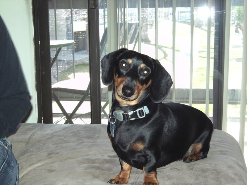 Name:  PICT0417.jpg
Views: 53
Size:  114.8 KB