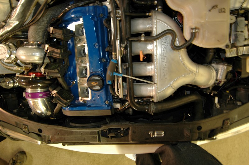 Name:  DSC_0638-vi.jpg
Views: 569
Size:  113.6 KB