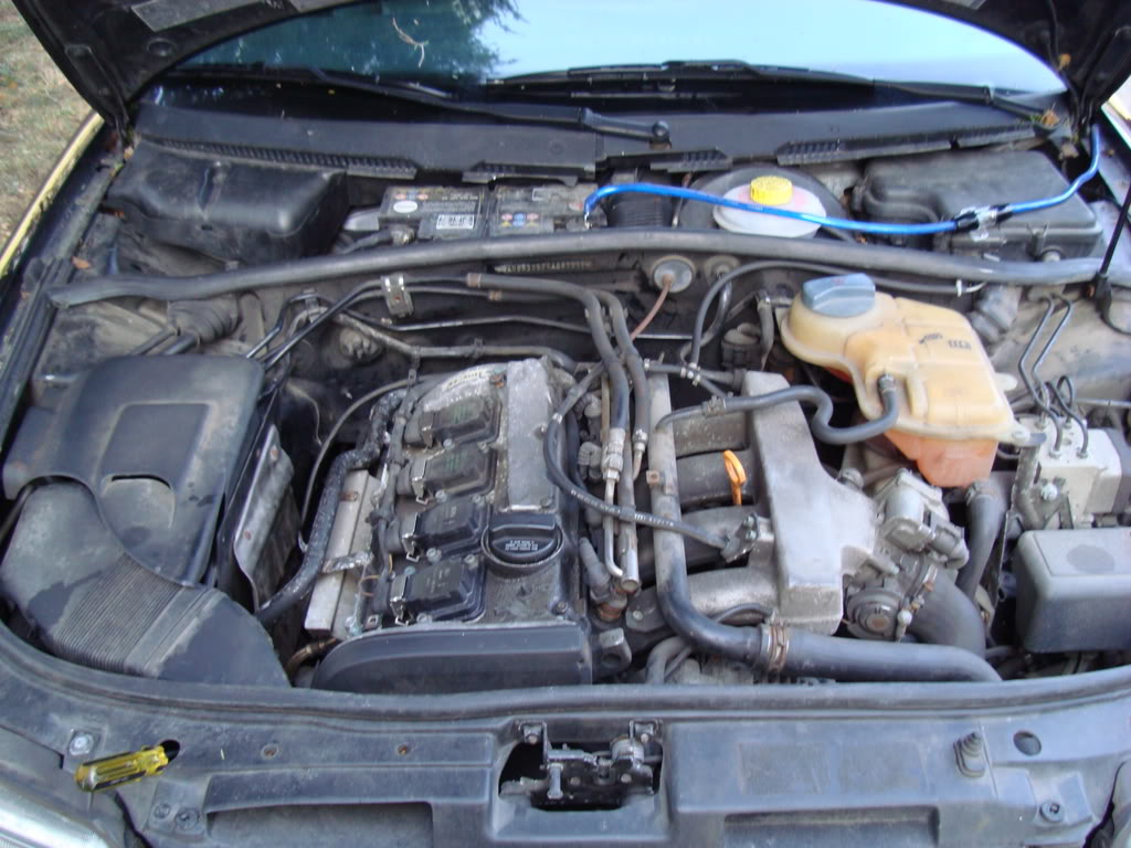 Name:  DSC00113.jpg
Views: 31
Size:  134.3 KB