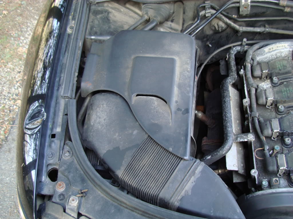 Name:  DSC00116.jpg
Views: 26
Size:  151.2 KB