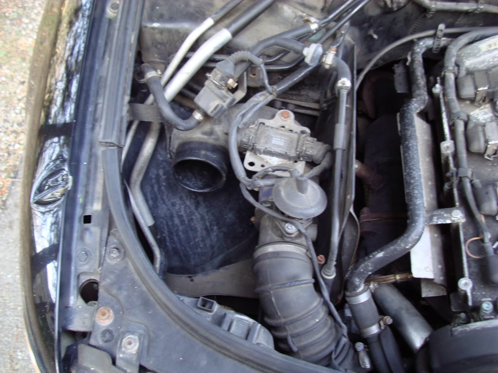 Name:  DSC00117.jpg
Views: 29
Size:  125.5 KB