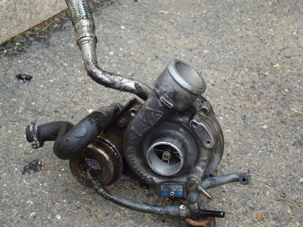 Name:  DSC00127.jpg
Views: 29
Size:  207.6 KB