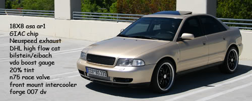 Name:  audisig.jpg
Views: 24
Size:  31.6 KB