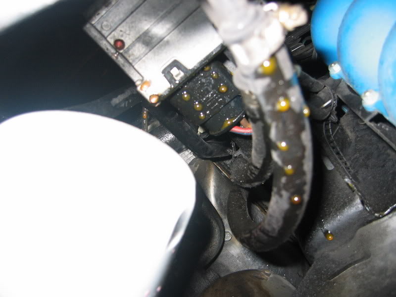 Name:  IMG_2996.jpg
Views: 17
Size:  52.8 KB