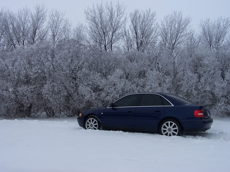 Name:  100_0803.jpg
Views: 161
Size:  120.5 KB