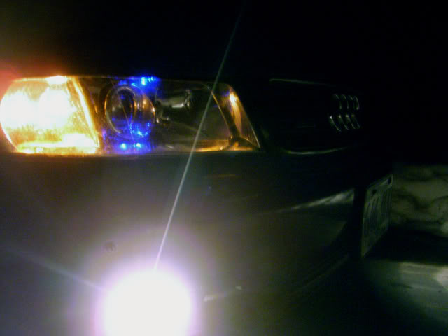 Name:  P2120103.jpg
Views: 49
Size:  30.7 KB