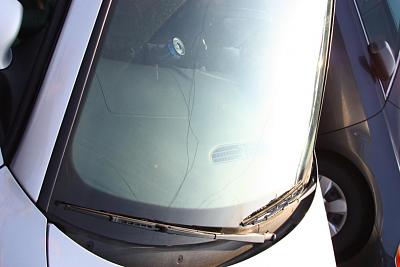 My update thread!-img_3190.jpg