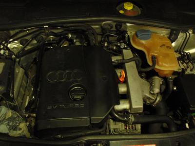 New pics of 2001 A4 1.8T with new rims!!!-p5313475.jpg