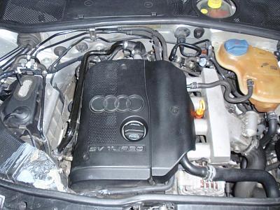 New pics of 2001 A4 1.8T with new rims!!!-p5313476.jpg