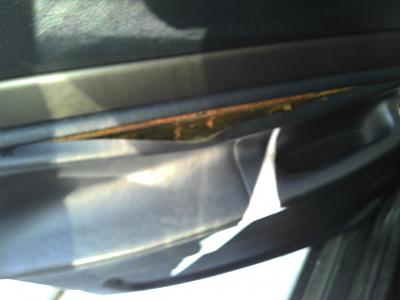 leather? peeling on doors.-audi-int.door-2.jpg