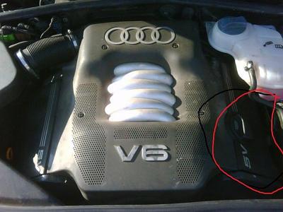 b5 Burns oil?-39926_1568140486329_1319964058_1501816_4899226_n.jpg