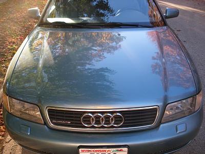 Touch Up Paint/Painting Hood (Possibly)-dscf24741.jpg