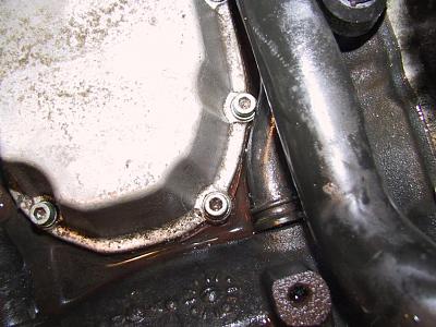 Need Help! Identified Problem but Don't Know How to FIX!-img_5862.jpg