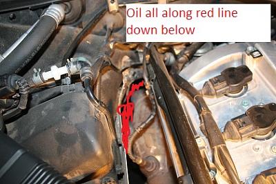 Oil Leak (Spray?) Passanger Side 2002 1.8t-img_1868.jpg