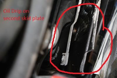 Oil Leak (Spray?) Passanger Side 2002 1.8t-img_1880.jpg