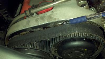 2003 A4 died on Highway.-resampled_2012-08-16_11-19-57_260.jpg