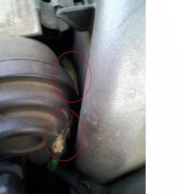 ???s and codes and pics-1218081613b.jpg