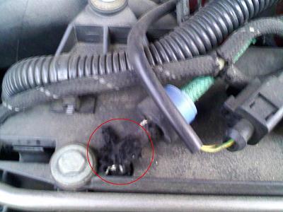 ???s and codes and pics-1218081613d.jpg