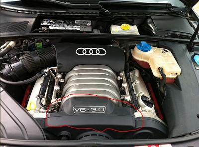 Screeching Whistling noise when press gas...-a4-engine.jpg