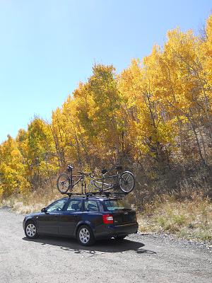  ***OFFICIAL SHOW US YOUR B6 THREAD***-dscn0497.jpg