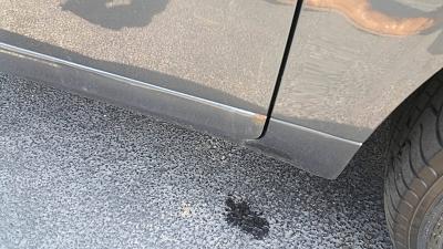 URGENT Please Help-3.jpg