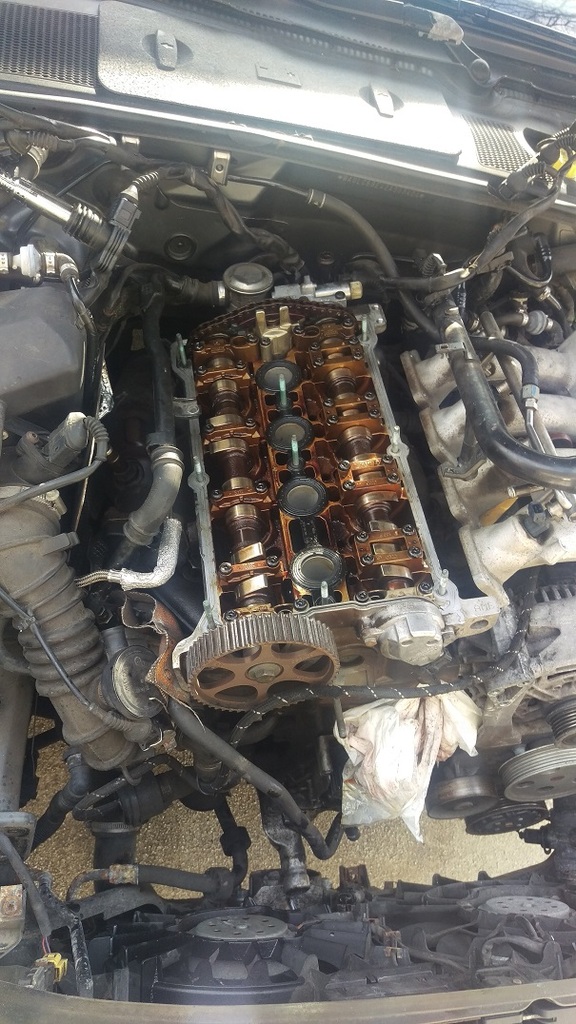 Name:  IMAG0647_zps0vg7jzxb.jpg
Views: 147
Size:  248.6 KB