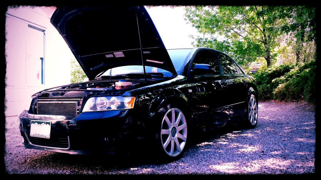 Name:  20130609_160225_zpsbab9f470.jpg
Views: 317
Size:  133.0 KB