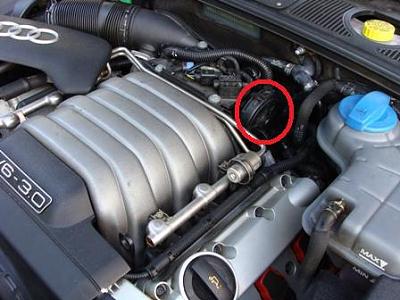 What is the circled part?-copy-dsc01506.jpg