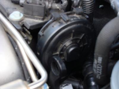 What is the circled part?-copy-dsc01505.jpg