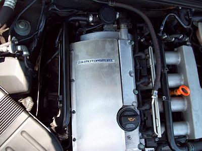 New engine cover Rate it 1-5-100_0081.jpg