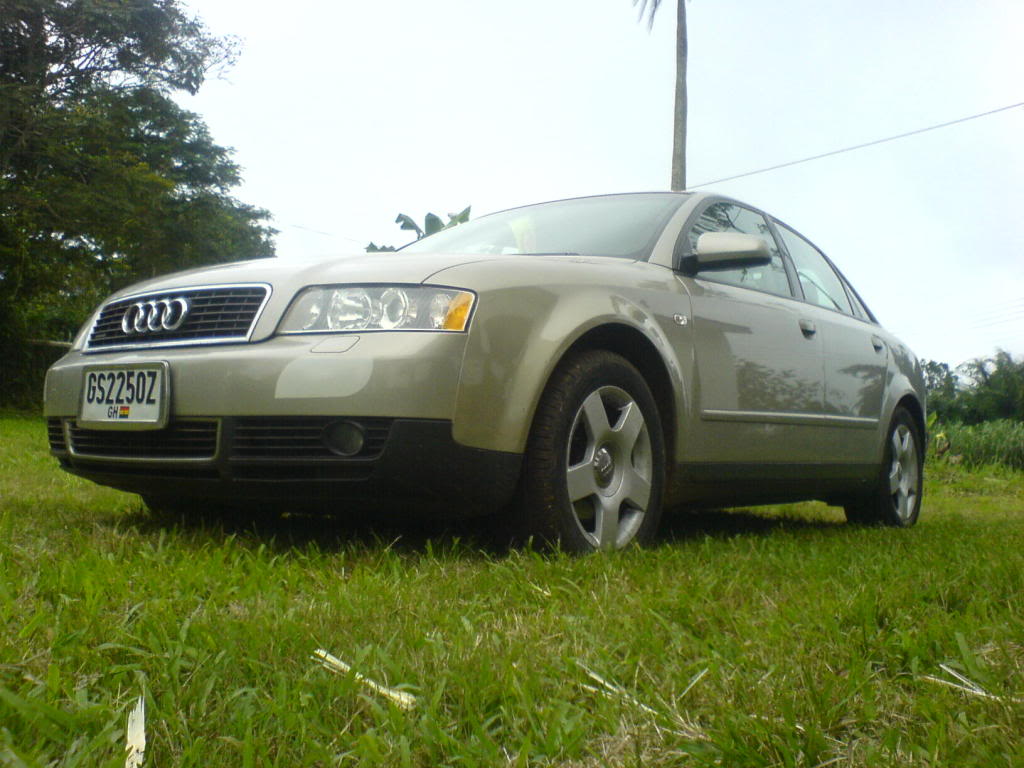 Name:  DSC00474.jpg
Views: 438
Size:  111.6 KB