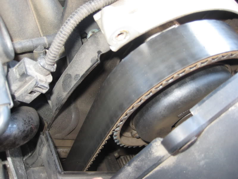 Name: IMG_0203.jpg
Views: 88
Size: 75.3 KB